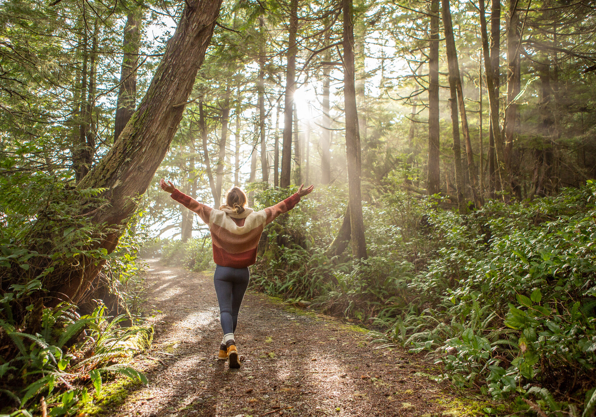 Person walking under sunbeams in forest