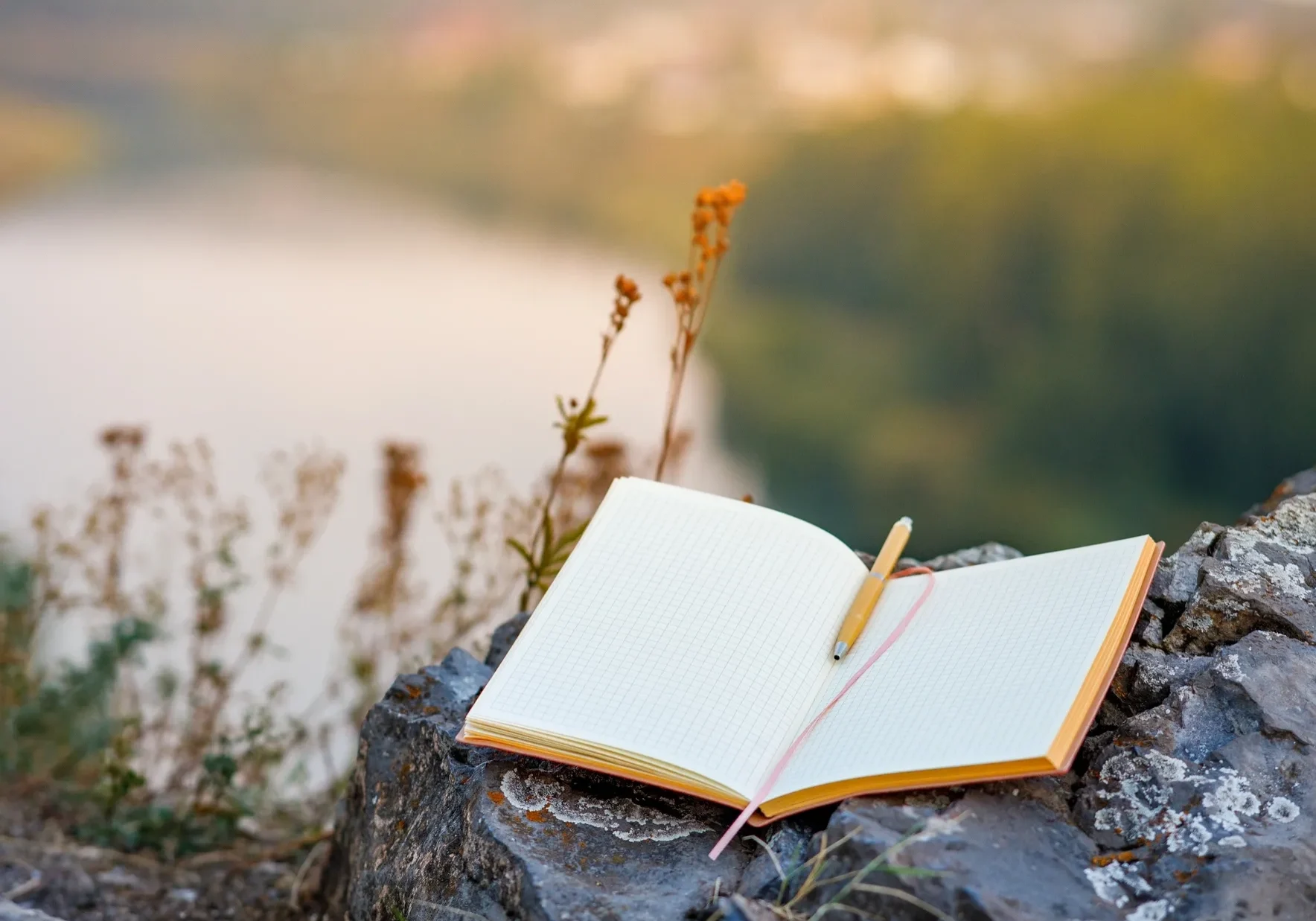 Notebook and pen in nature setting